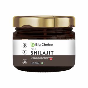 SHILAJEEET