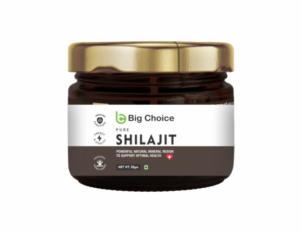 SHILAJEEET