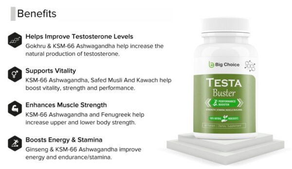 TESTA BUSTER - Image 3